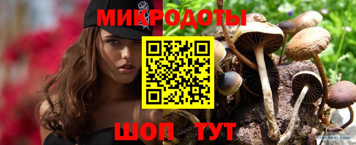 Псилоцибиновые грибы прущие грибы  Вход с VPN  Гурьевск 